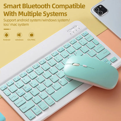 Mouse Bluetooth Inalámbrico para iPad y Laptop Colohas